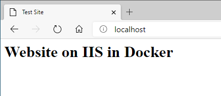 Screenshot of the Website running on IIS in a Docker Container